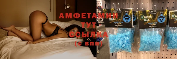 дживик Гусь-Хрустальный