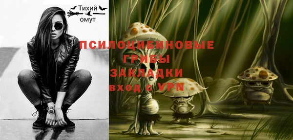 Альфа ПВП Гусиноозёрск