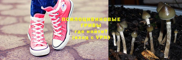 Альфа ПВП Гусиноозёрск