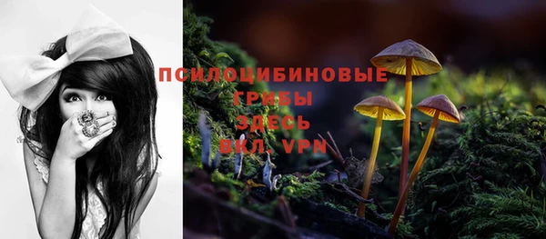дживик Горнозаводск