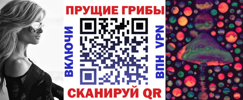 Купить  Морозовск  Галлюциногенные грибы мицелий 